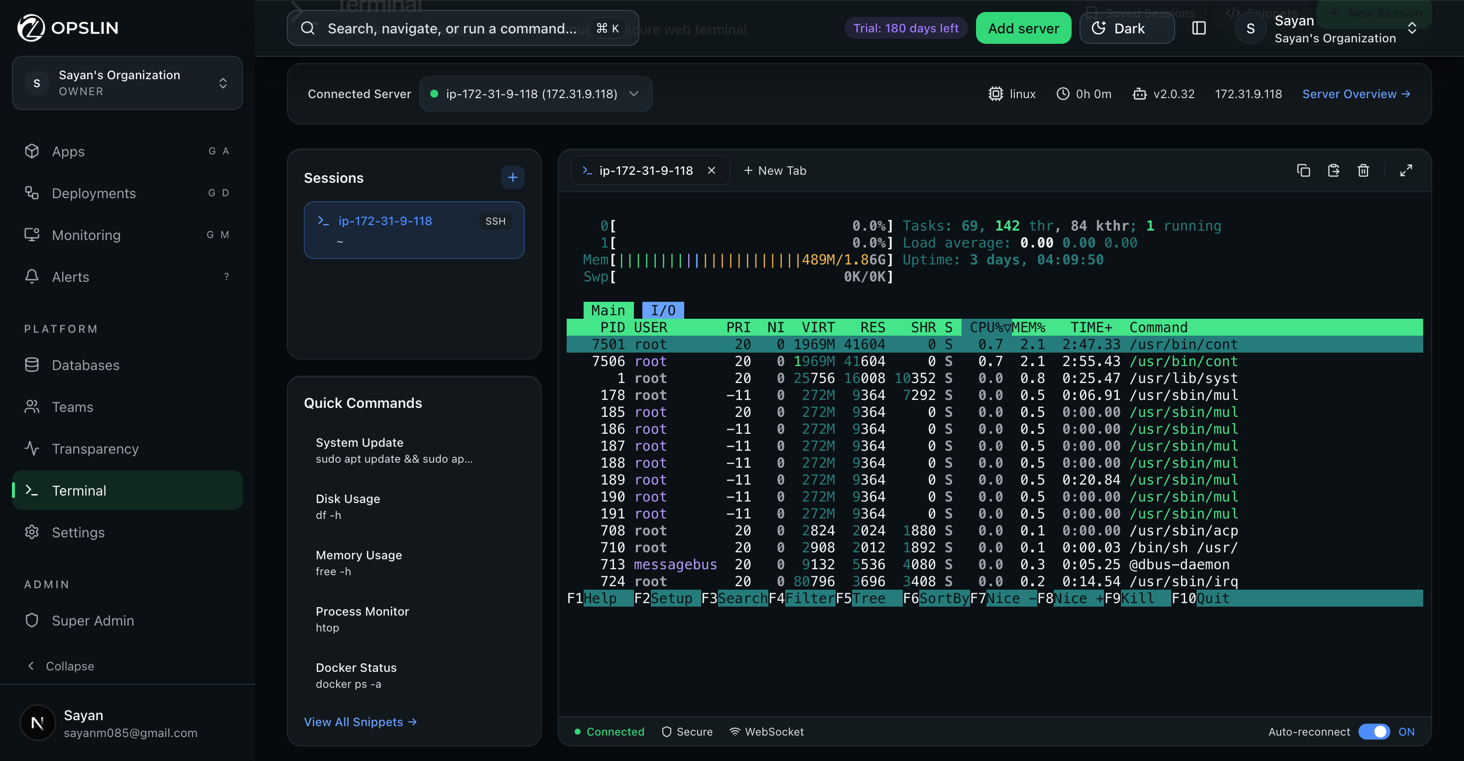 Opslin web terminal screen with an active SSH session and quick command shortcuts